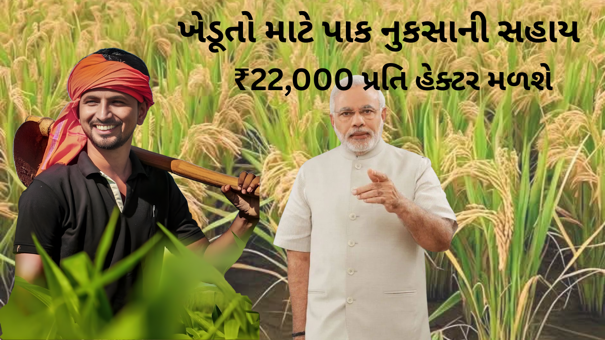 krushi rahat package