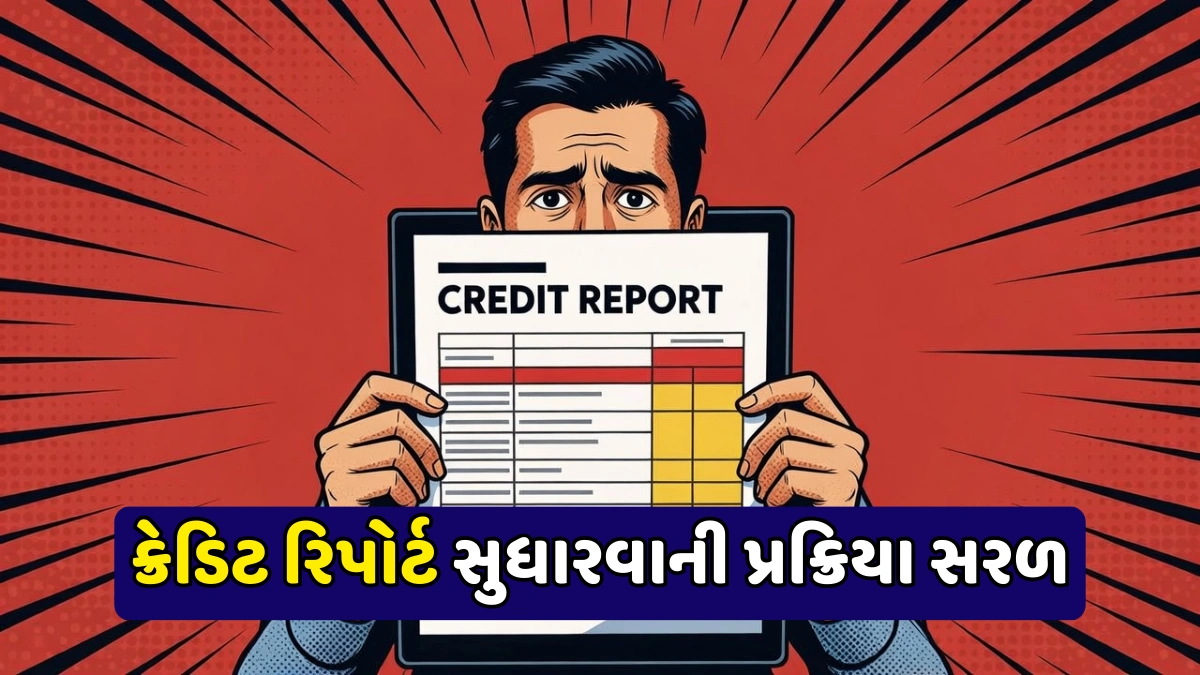 Credit Report Correction