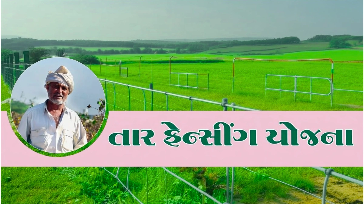 Farm Fencing Subsidy