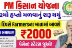 Farmer Subsidy