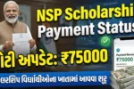 National Scholarship Portal Payment