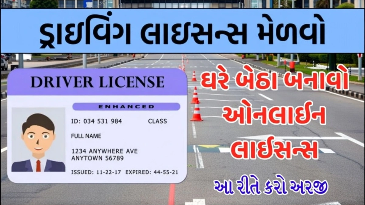 Online Driving License